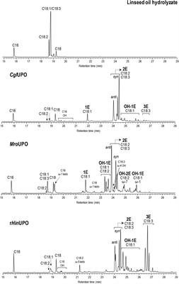 High Epoxidation Yields of Vegetable Oil Hydrolyzates and Methyl Esters by Selected Fungal Peroxygenases